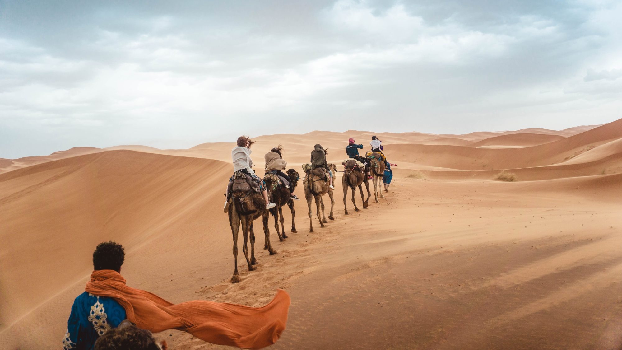Camel caravan crossing the Moroccan Sahara dunes at dawn