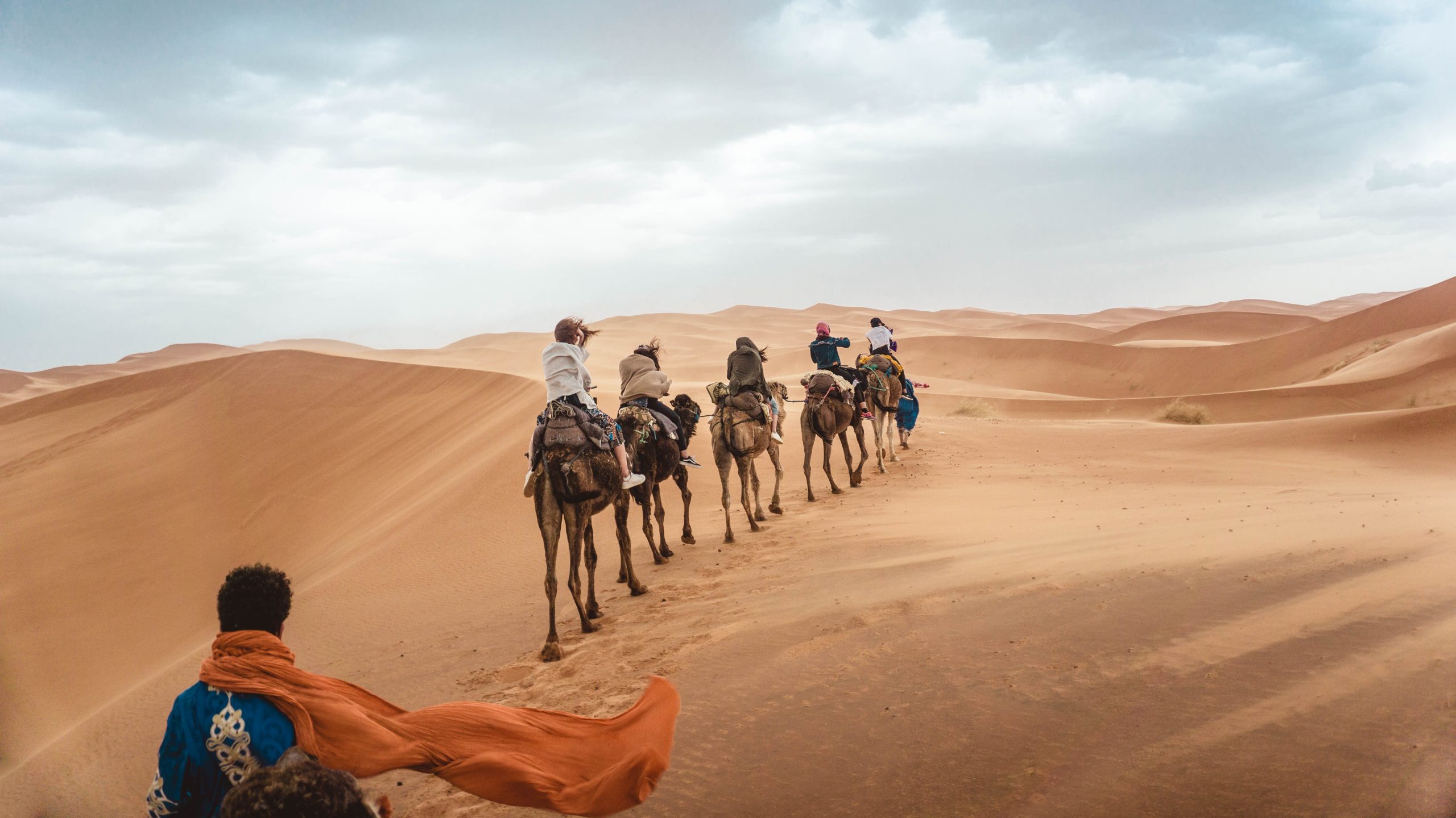 Camel caravan crossing the Moroccan Sahara dunes at dawn